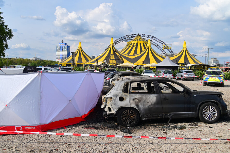 Das Ultraleichtflugzeug krachte im September dieses Jahres auf den Parkplatz vor einem Duisburger Zirkus und zerstörte zahlreiche Autos.