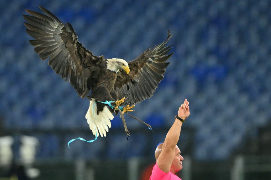 Die Lazio-Anhänger müssen vorerst auf ihren Adler verzichten, weil Juan Bernabé im Internet zu viel von sich preisgegeben hat.