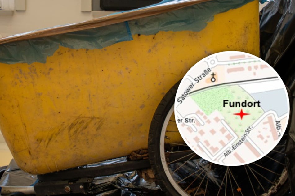 Leichenfund in Waldstück: Identität geklärt, Kiste im Fokus der Ermittlungen