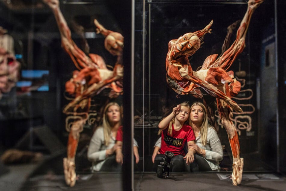 Die große Ausstellung KÖRPERWELTEN ist jetzt auch in Chemnitz zu sehen.