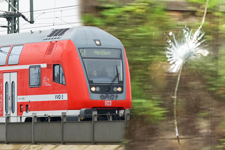 Polizei fahndet: Mehrere S-Bahn-Züge in Dresden mit Steinen beworfen