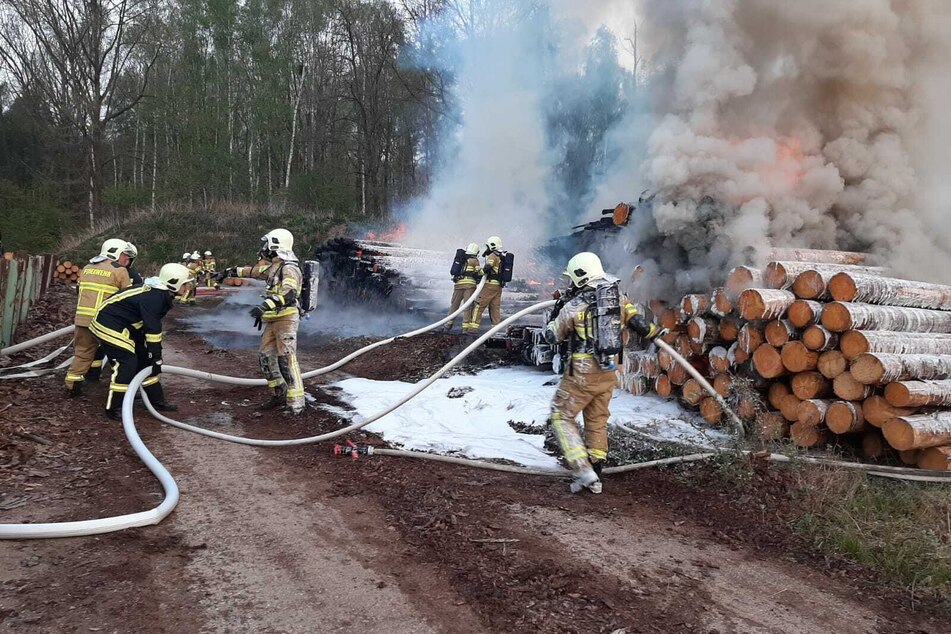 In einem Sägewerk in Grimma ist am frühen Freitagmorgen ein Feuer ausgebrochen.