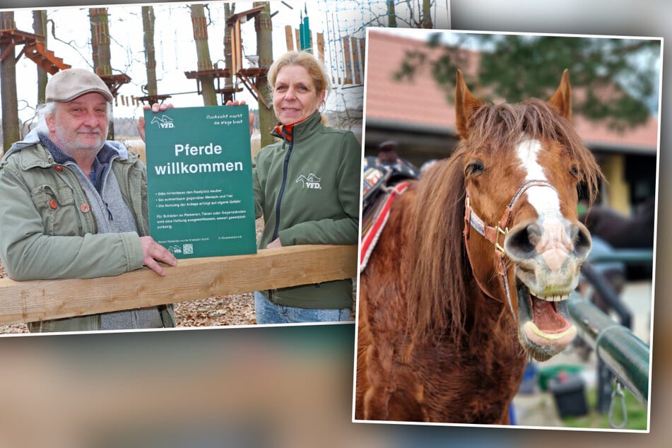 Zum Wiehern! Moritzburg hat jetzt einen Pferde-Parkplatz