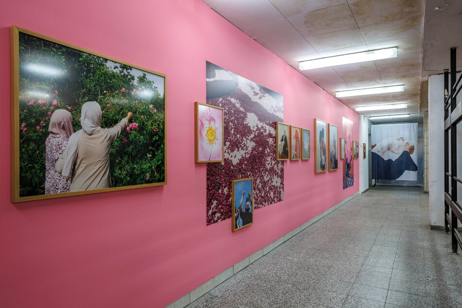 "Was tun wir" ist eine Ausstellung des Kunsthauses Dresden zur Rolle der zeitgenössischen Fotografie.