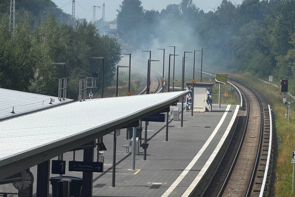 Das Feuer ist in der Nähe des S-Bahnhofs Gehrenseestraße ausgebrochen.