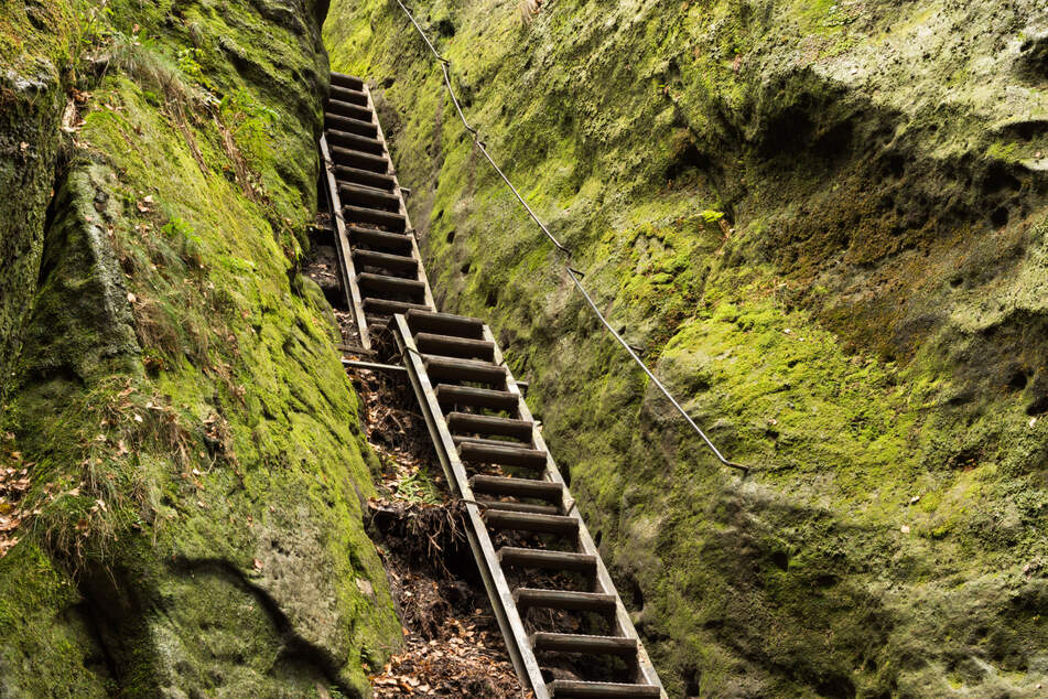 Der Nationalpark Sächsische Schweiz ist ein Paradies für Wanderer und Kletterer.