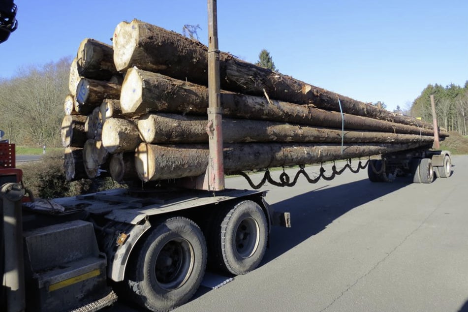 Polizei kontrolliert verdächtigen Holztransport und erlebt böse Überraschung