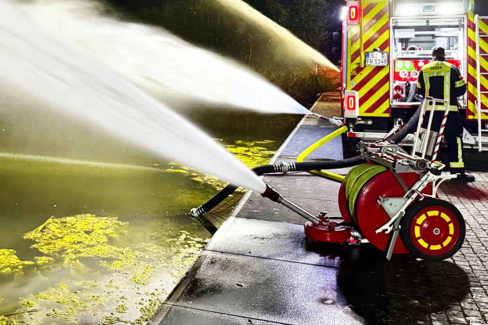 Kuriose Aktion aufgrund der Hitze: Feuerwehrleute sorgen für eine lebensnotwendige Abkühlung - und zwar für Fische!