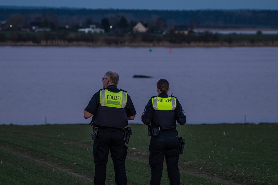 Die Polizei sperrte den Bereich um den Wal weiträumig ab und kontrolliert diesen, da bereits am Mittag zahlreiche Menschen vor Ort waren, um das Tier zu sehen.