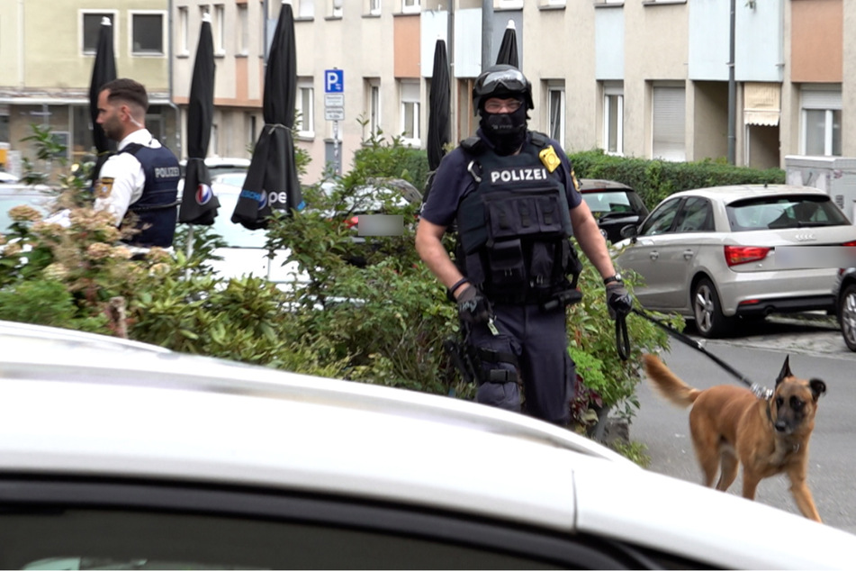 Bewaffnete Polizisten mit Diensthunden waren in der Nürnberger Innenstadt im Einsatz. Die Bleichstraße wurde abgesperrt.