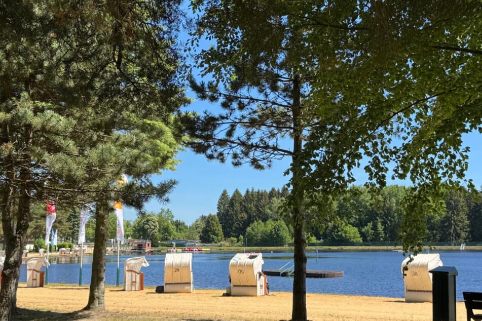 Ein Badetag gefällig? Der Filzteich eignet sich hervorragend dafür.