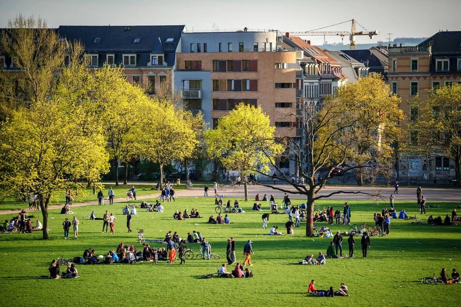 Von Weitem sieht der Alaunpark nur idyllisch aus, doch er hat ein Müllproblem.