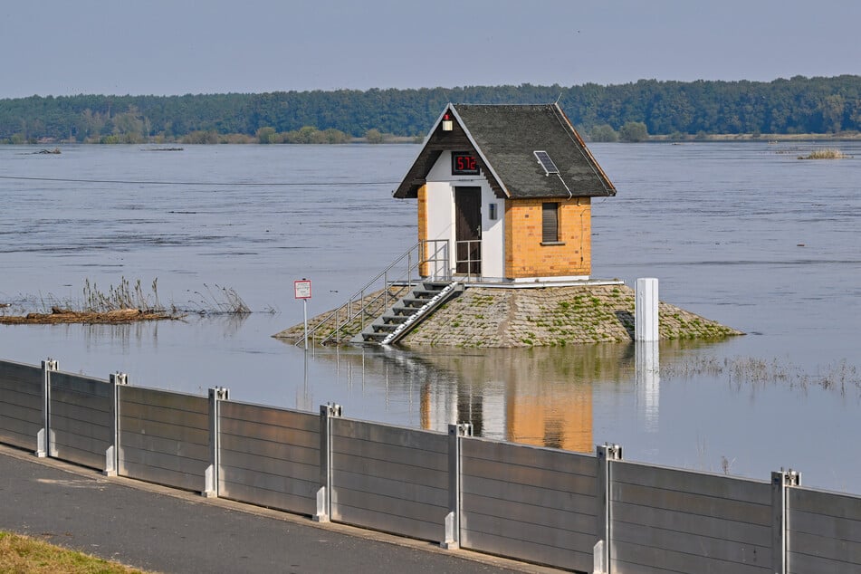 Da wo Oder und Neiße zusammenfließen, soll eine mobile Schutzwand das Dorf vor einer Flut schützen.