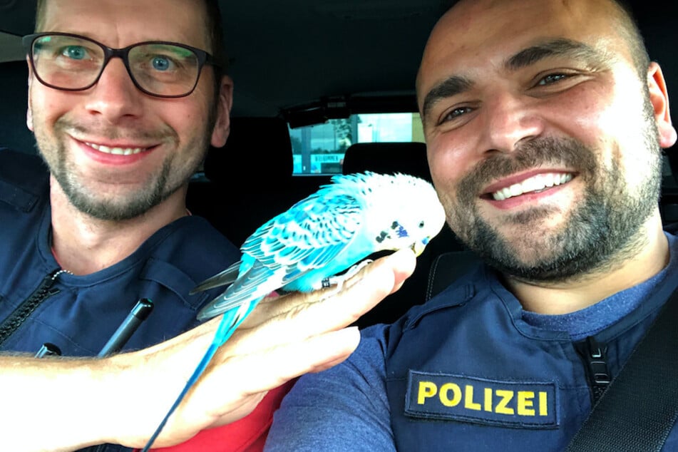 Fahnder der Grenzpolizei haben auf einem Parkplatz der Autobahn 93 bei Gattendorf (Landkreis Hof) einen besonderen Fund gemacht.