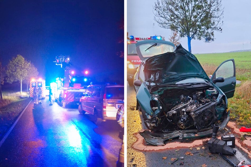 Polizei, Feuerwehr und Rettungsdienst kamen am Donnerstagmorgen bei Delitzsch zum Einsatz, nachdem ein Auto gegen einen Baum geprallt ist.