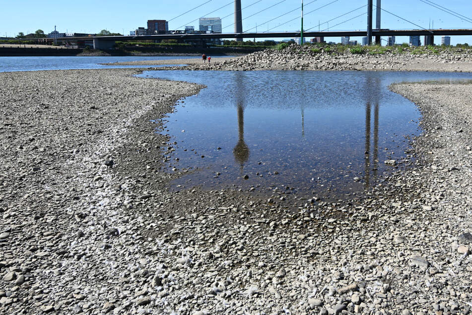 Hitze und Dürre führten auch zu drastischem Niedrigwasser in vielen deutschen Flüssen: Das Foto zeigt das Bett des Rheins bei Düsseldorf am 11. August.