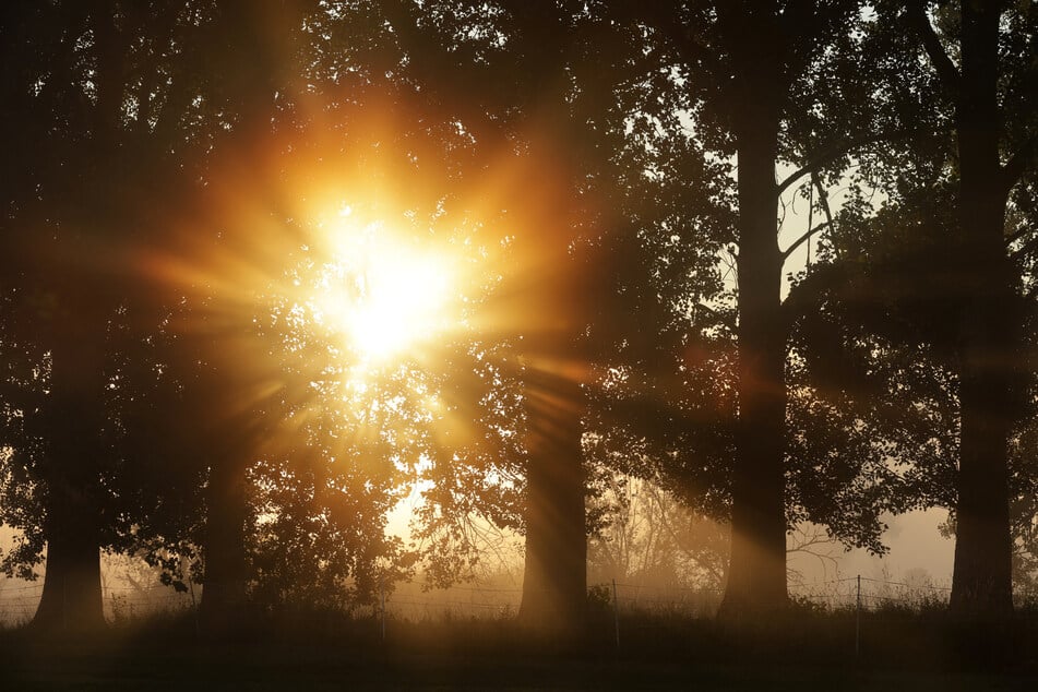 Der Wetterdienst prognostiziert Sonne satt und Temperaturen bis zu 34 Grad.