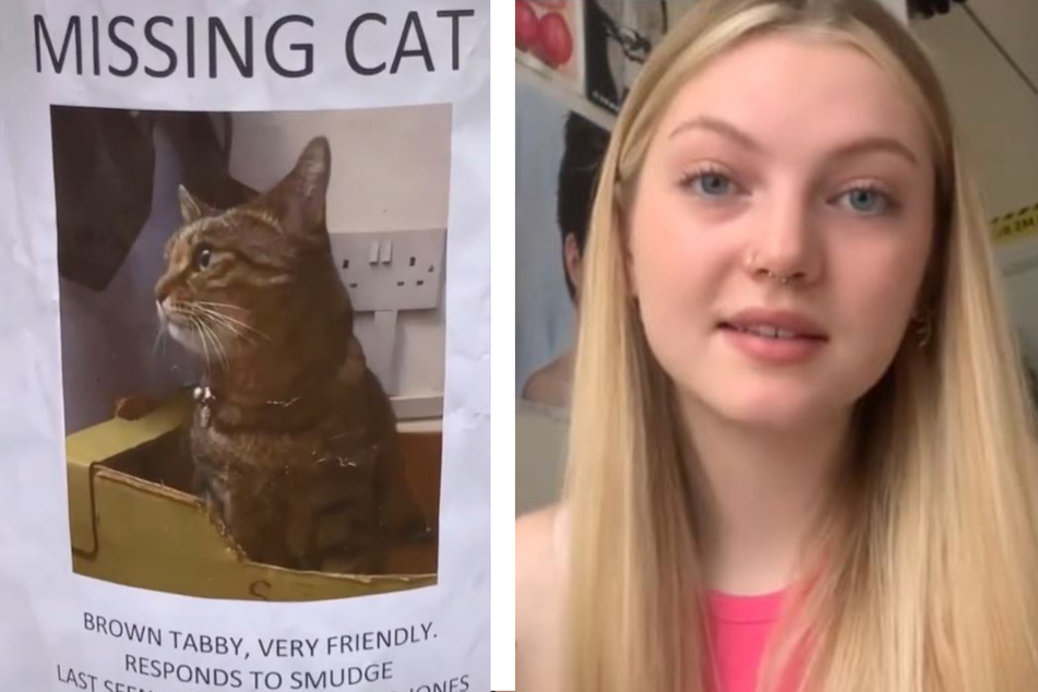 Ein solches Plakat mit dem Antlitz ihrer Katze will Meg auf der Straße entdeckt haben.