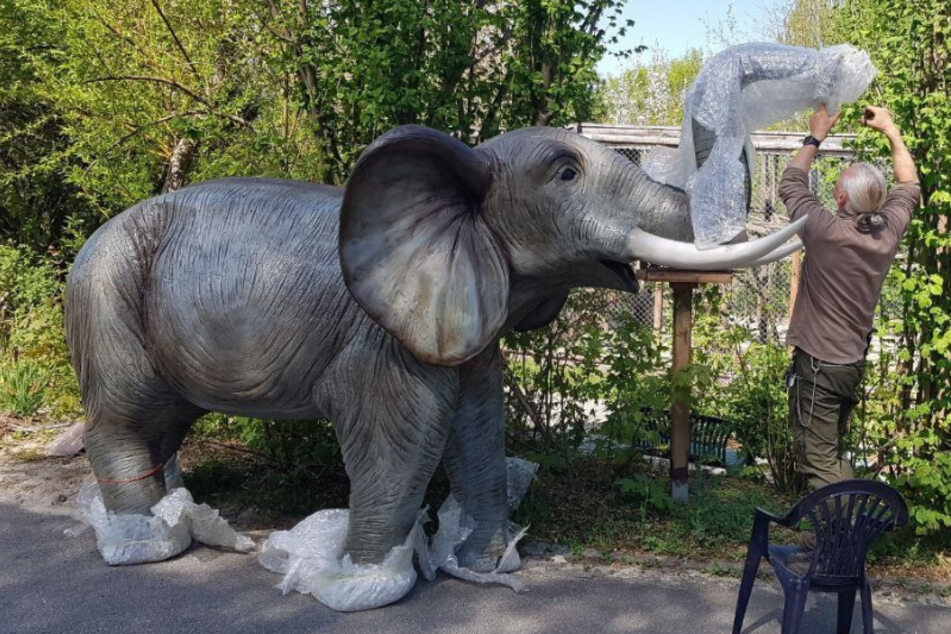Tiergartenleiter Christian Schroller packt den Neuzugang für den Zoo der Minis in Aue aus.