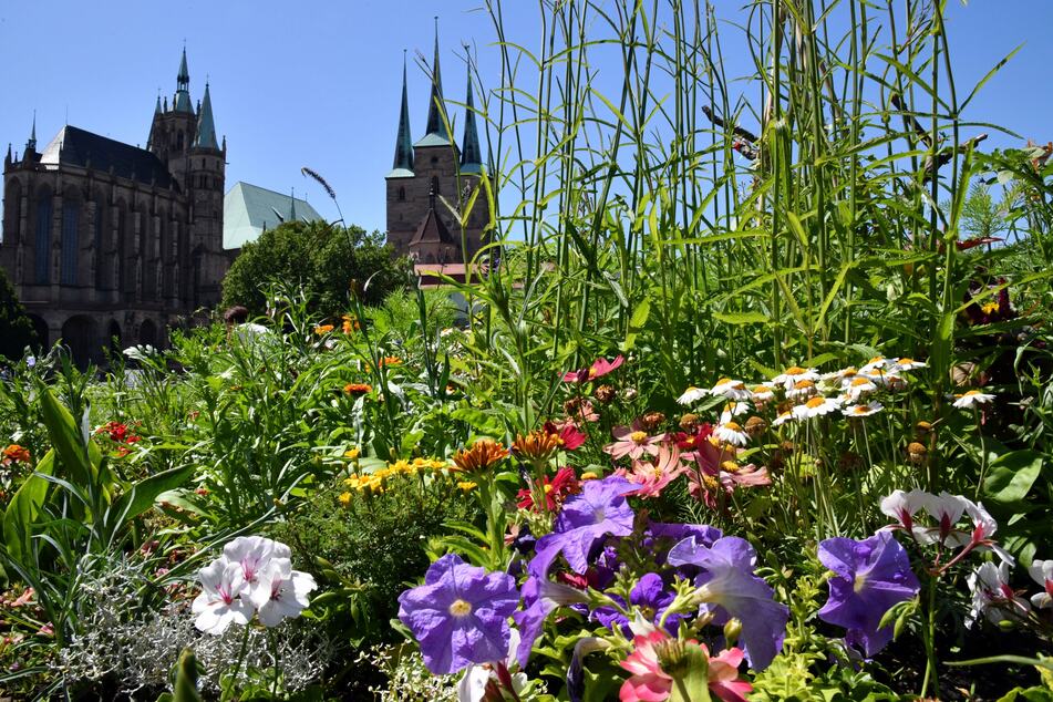 Thüringen wird bei Touristen immer beliebter, nicht nur für Kurzreisen.