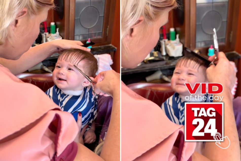 viral videos: Viral Video of the Day for November 15, 2025: Baby's first haircut at Disney melts hearts on TikTok