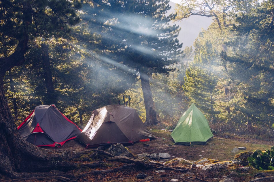 Der 24-Jährige war von seinen drei Freunden leblos im Zelt aufgefunden worden. (Symbolfoto)