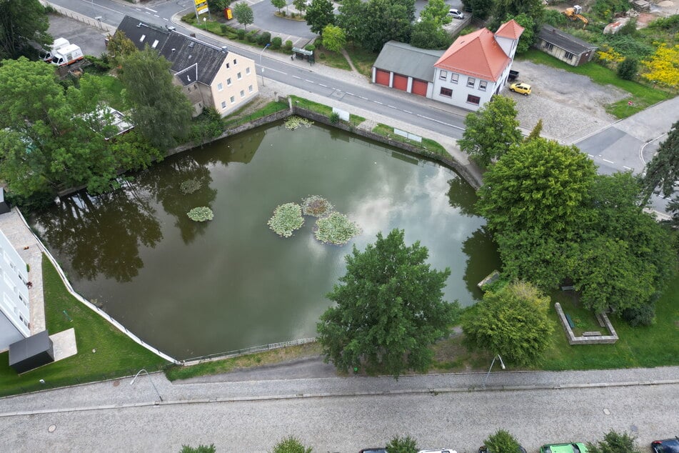 In diesem flachen Teich wurde Holger E. so schwer verletzt, dass er später im Krankenhaus starb.