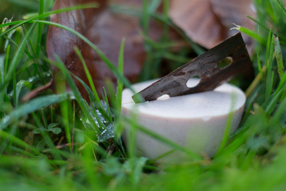 Die Täter verstecken unter anderem Rasierklingen in den Ködern.