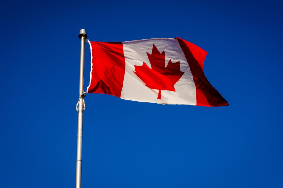 Seit über 25 Jahren lebt "Driftwood Holly" bereits in Kanada.