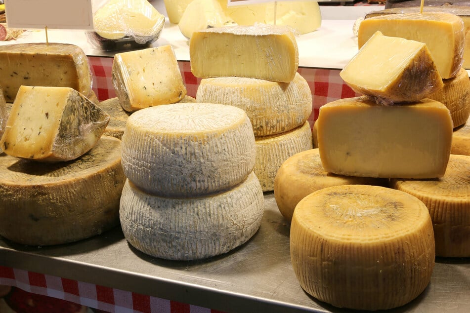 Bei der großen Käse-Auswahl ist für jeden Geschmack etwas dabei!