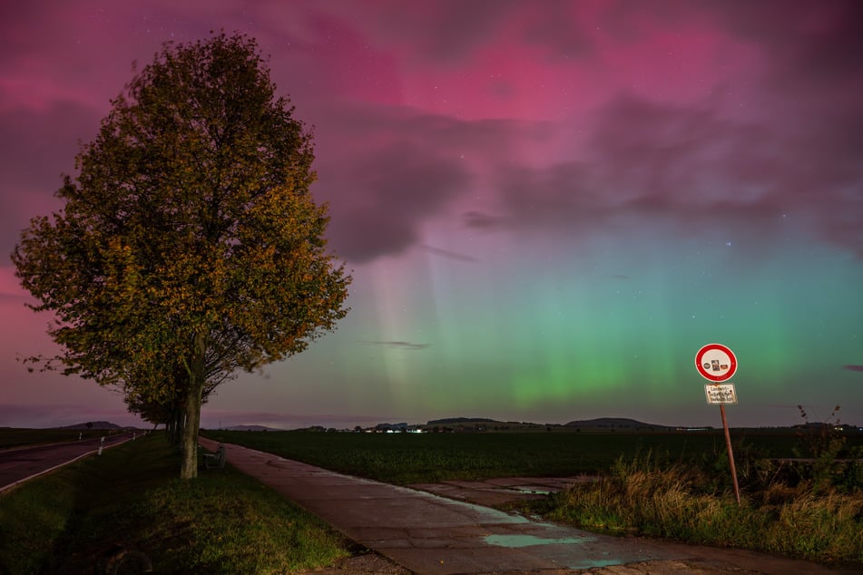 Traumhaftes Naturphänomen: Am frühen Freitagmorgen zeigten sich Polarlichter über Sachsen.