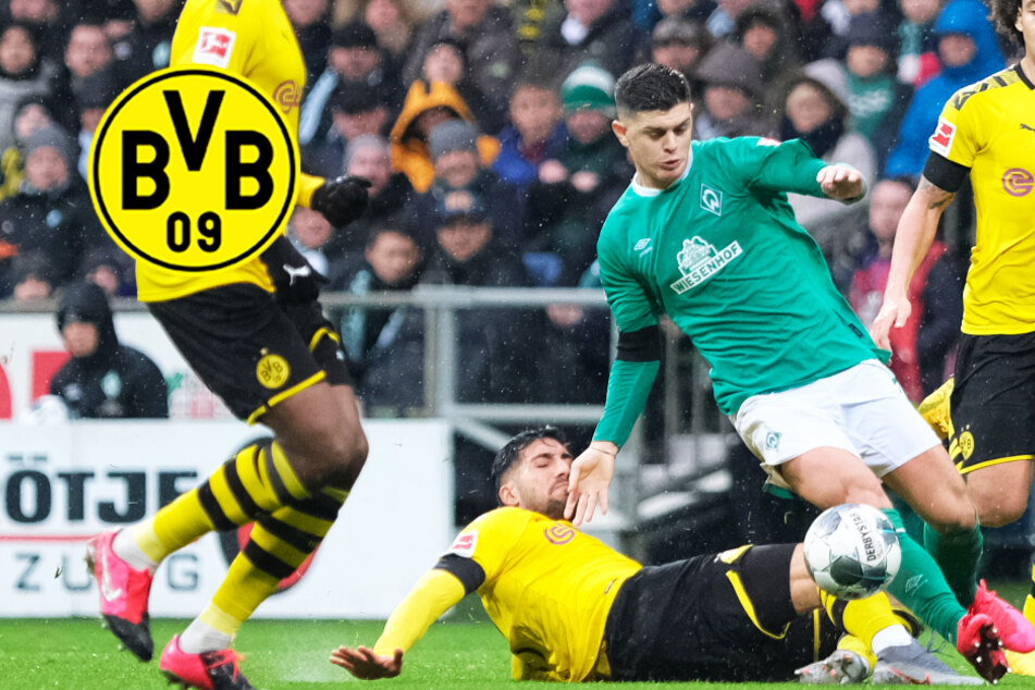 BVB soll Kontakt zu Rashica aufgenommen haben! Kommt Bremen-Star im Sommer?