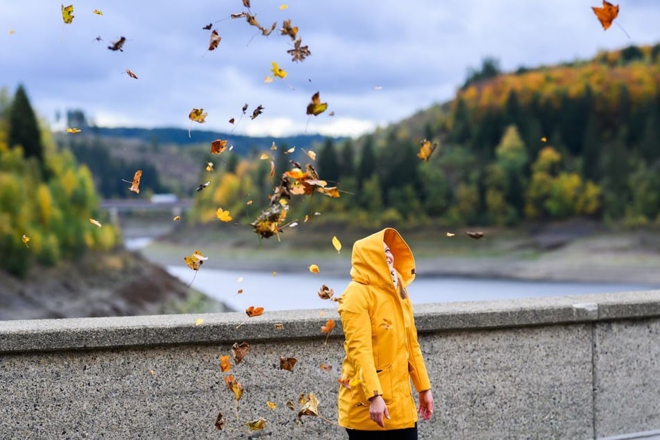 Im Harz kann es Sonntagnacht Frost geben. (Symbolfoto)