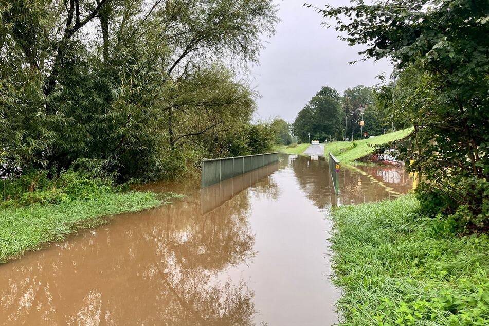 Kein Durchkommen am Kleinzschachwitzer Ufer.