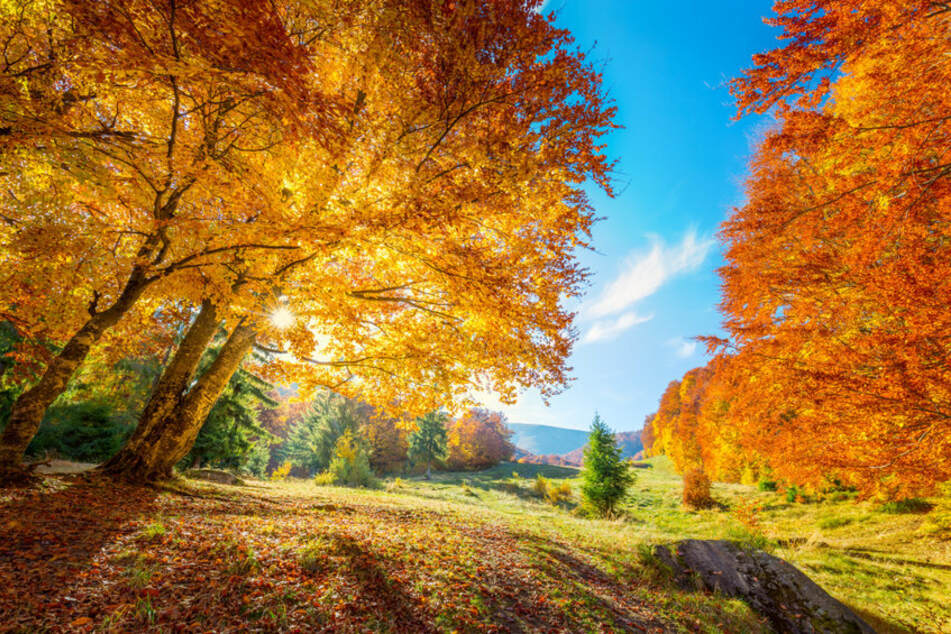 Am Wochenende zeigt sich der Herbst von seiner schönen Seite (Symbolbild).