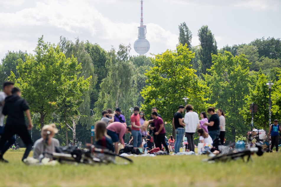 Auf einer Wiese im Volkspark Friedrichshain kam es zu der Attacke.
