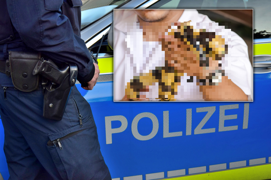 Mann (39) geht mit Haustieren Gassi und ruft damit die Polizei auf den Plan