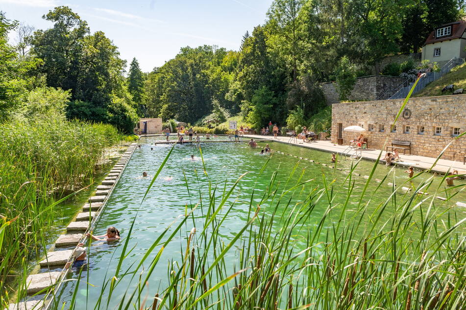 Das Zschonergrundbad im Dresdner Westen ist das beliebteste Freibad in ganz Deutschland.