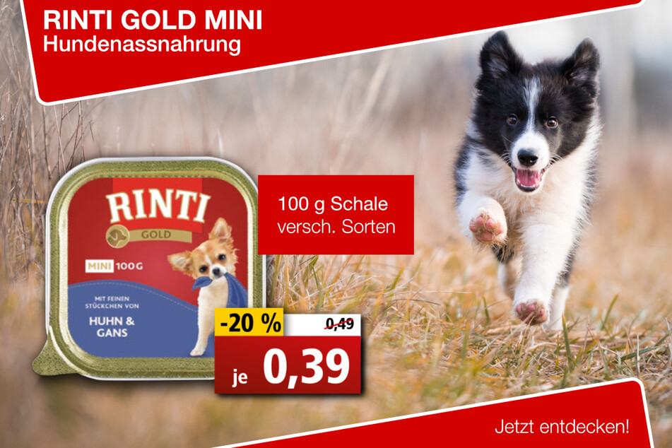 RINTI Gold Mini, Hundenassnahrung