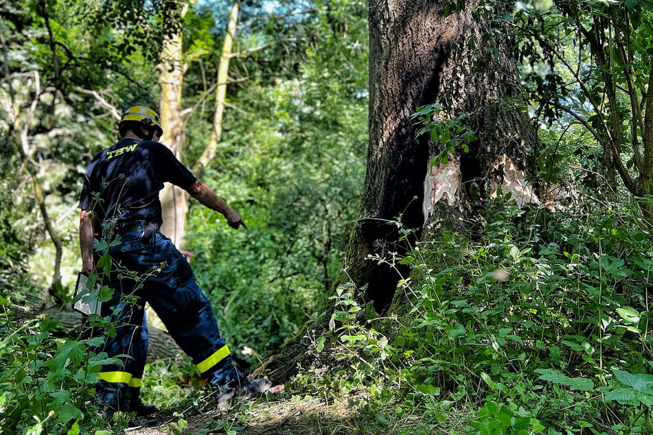 Die Kameraden begannen umgehend nach der Alarmierung in das Waldgebiet mit den Löscharbeiten.