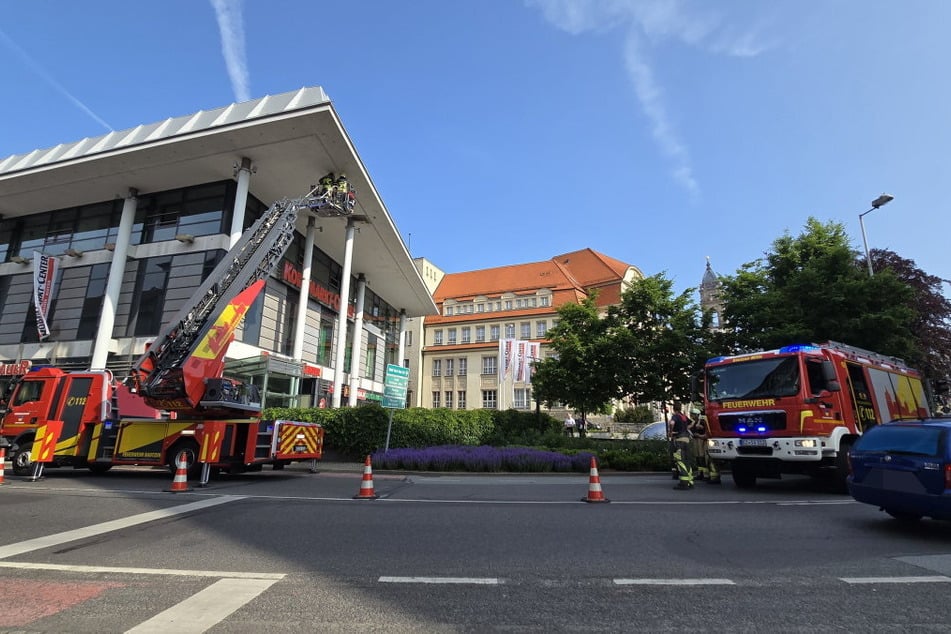 Die Feuerwehr rückte mit zwei Fahrzeugen an, um den Vogel zu retten.