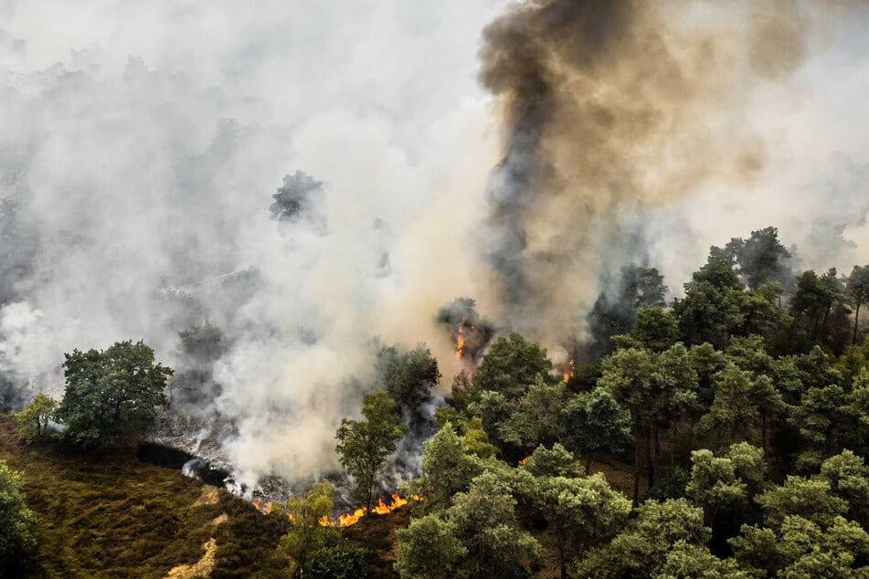 Flammen außer Kontrolle: Rauchwolken sorgen in Deutschland für Unruhe