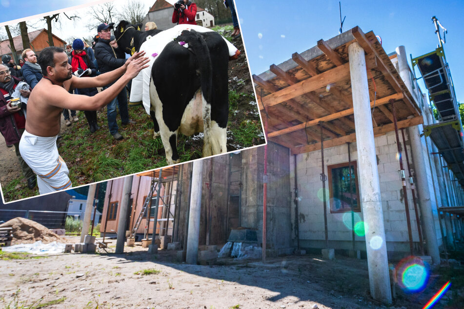 Nach Einverständnis einer Kuh: Bauarbeiten an Hindu-Tempel schreiten voran