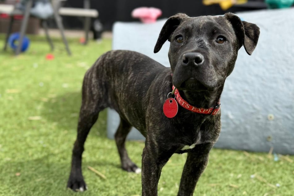 Faith hat sich gut erholt.