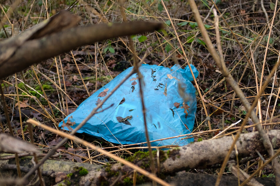 Aus blauen Plastiksäcken hingen den Angaben nach Reste von Schaffellen und Gedärmen heraus. (Symbolbild)