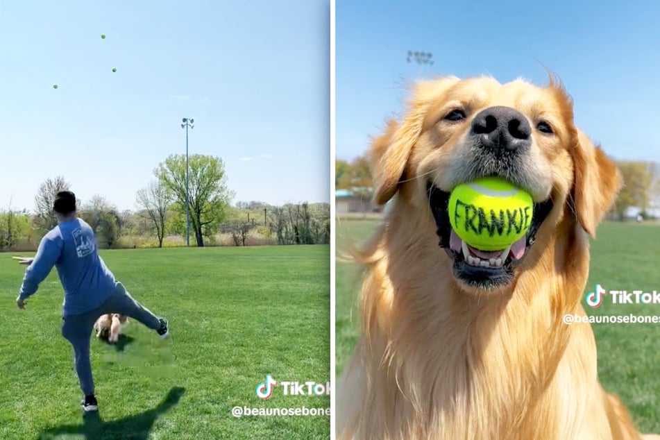 Would you let your dog pick out your baby name? Millions of TikTok users are on board with the idea.