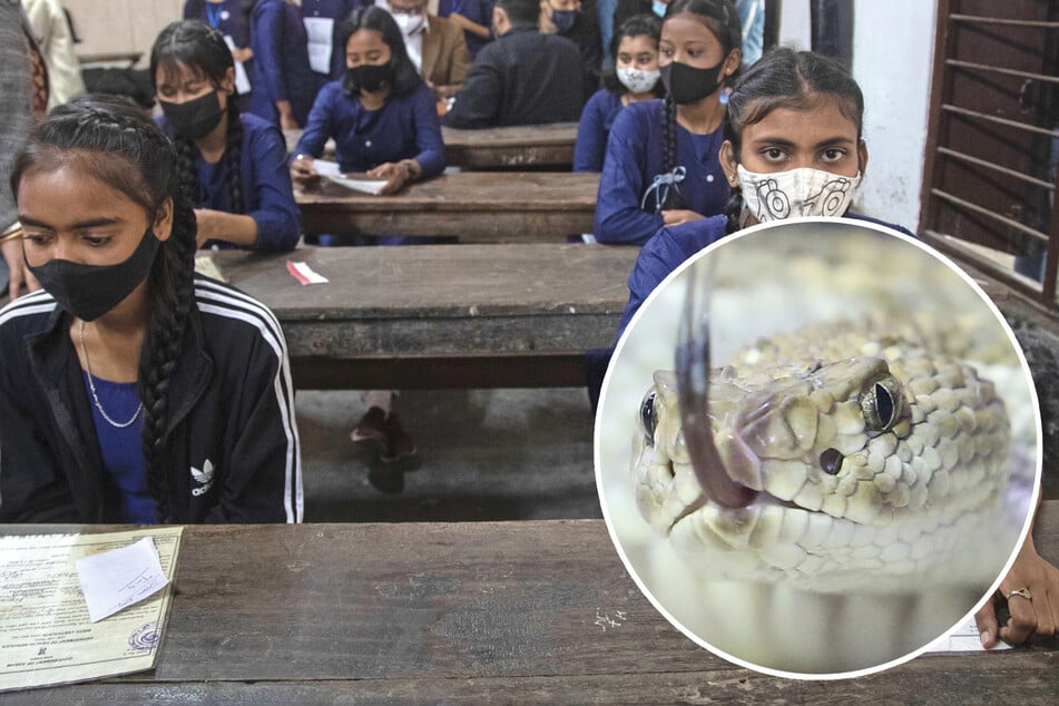 Der indische Staat hat sich in den vergangenen Jahren verstärkt dafür eingesetzt, dass Kinder in indischen Schulen ein kostenloses Mittagessen bekommen. (Symbolbilder)