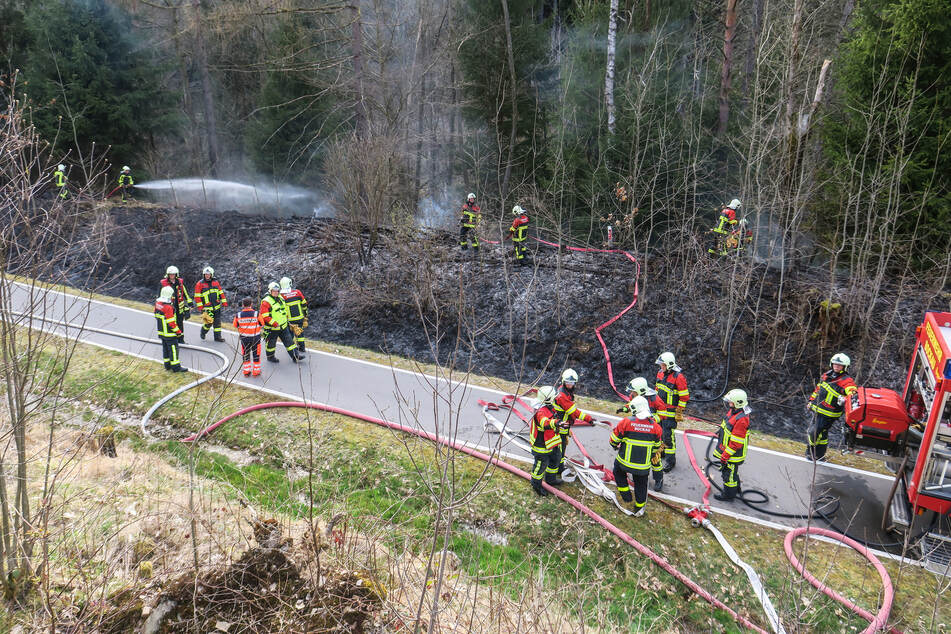 Am Muldentalradweg brannte eine Böschung. Die Feuerwehr hatte den Brand schnell unter Kontrolle.