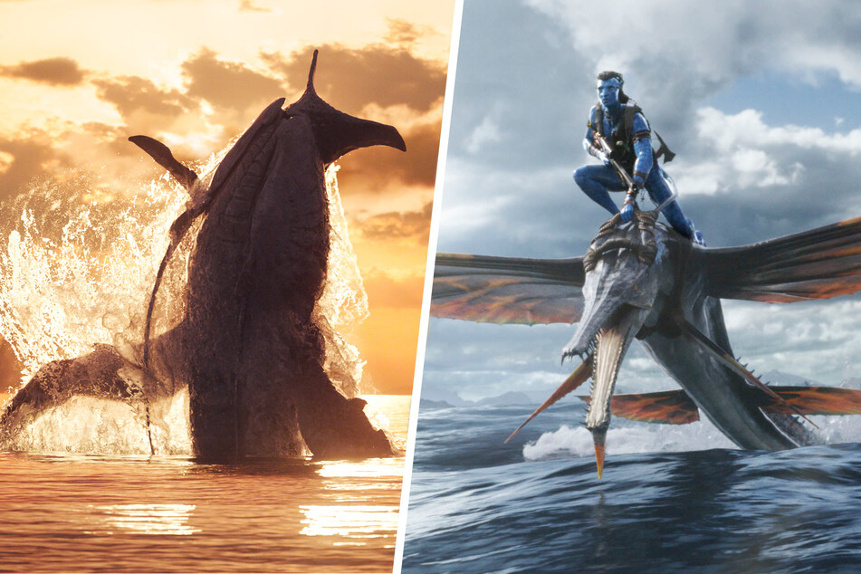 In "Avatar: The Way of Water" spielt vor allem die Wasserwelt Pandoras eine große Rolle.