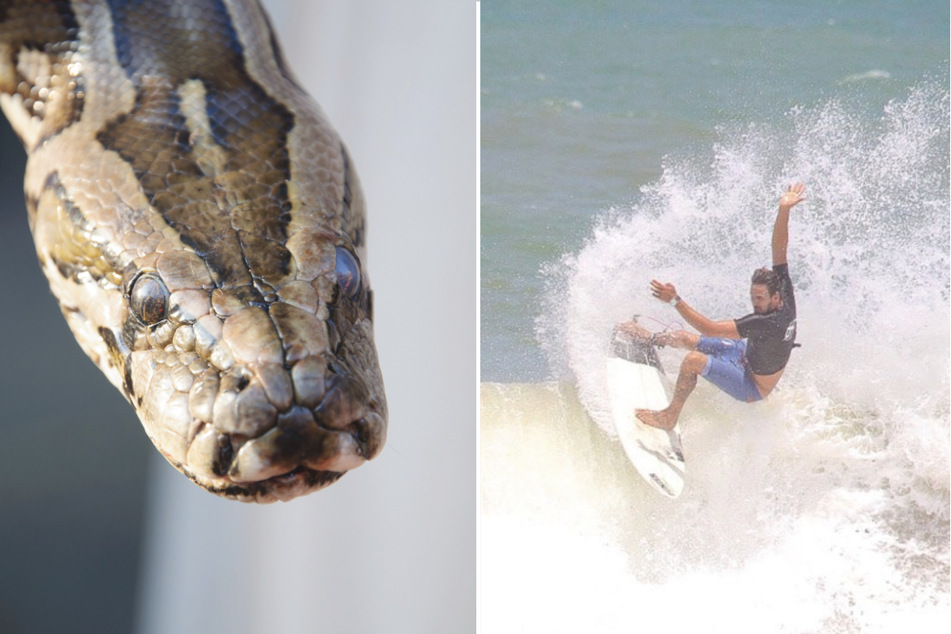 Australian surfer Higor Fiuza (r.) was fined after being filmed riding the waves with his pet python coiled around his neck.